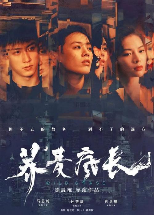做个精仿西汀布尔学院文凭毕业证